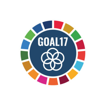 Logo Leap Consultancy Goal17