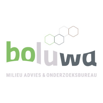Logo Boluwa