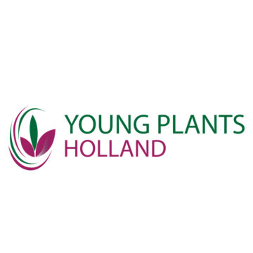 Logo Young Plants Holland