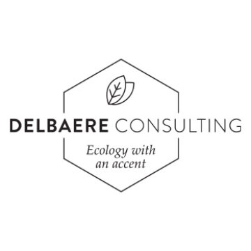 Logo Delbaere Consulting