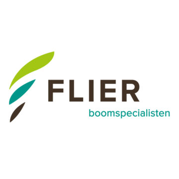 Logo Flier Boomspecialisten